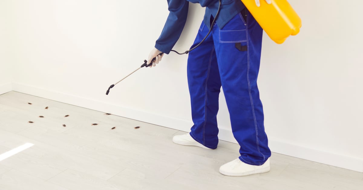 รับกำจัดปลวก แมลง