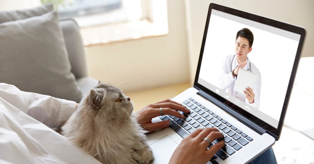 ปรึกษาสัตวแพทย์
