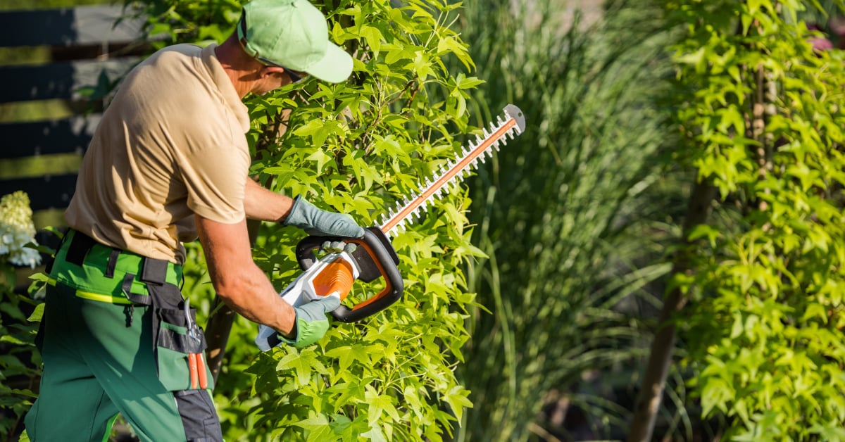 รับตัดหญ้าและตัดต้นไม้