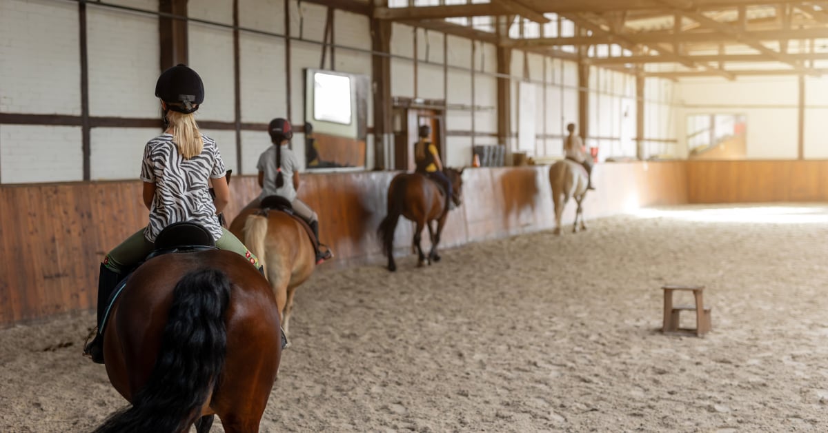 เรียนขี่ม้า